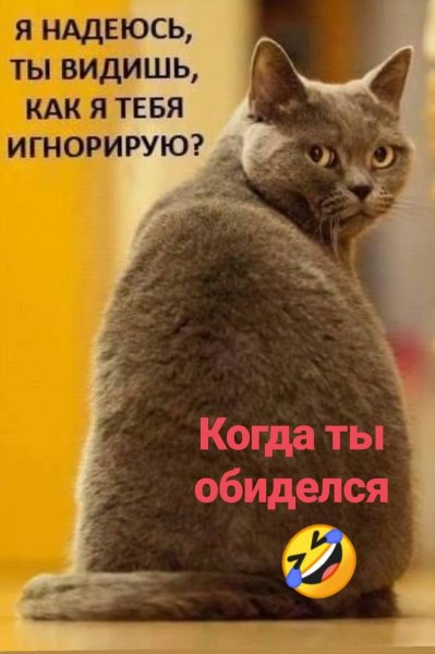 Надеюсь ты видишь как я тебя игнорирую