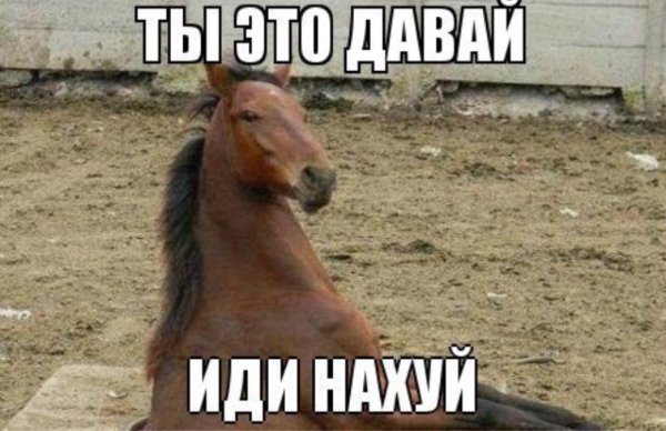 Ты это давай иди конь