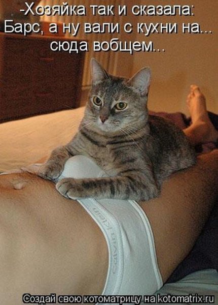 Юмор в картинках с надписями