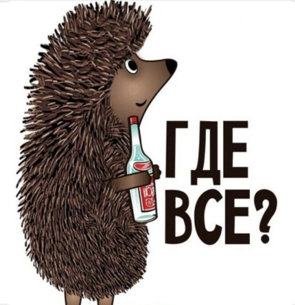 Ежик с бутылкой водки