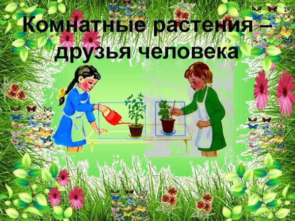 Растения наши друзья