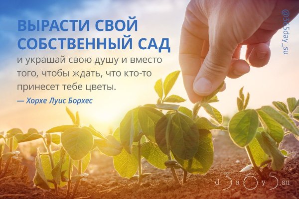 Высказывания про сад