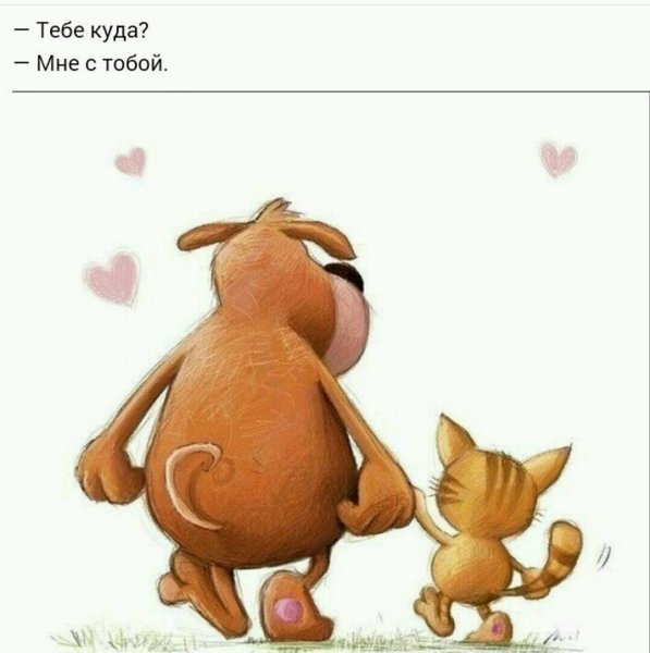 Я рядом цитаты