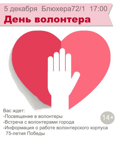 День волонтера в России