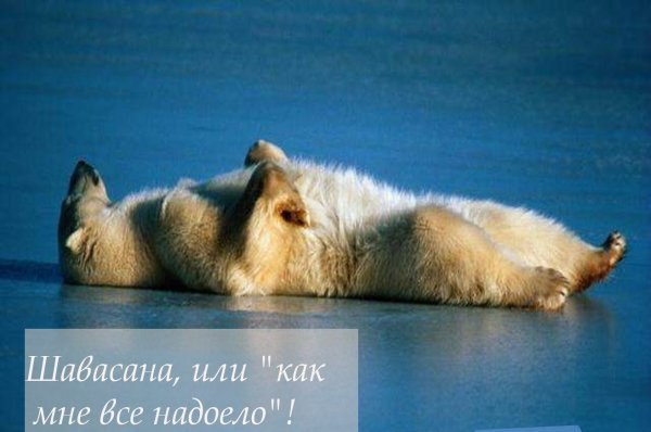 Спокойной ночи перед рабочей неделей
