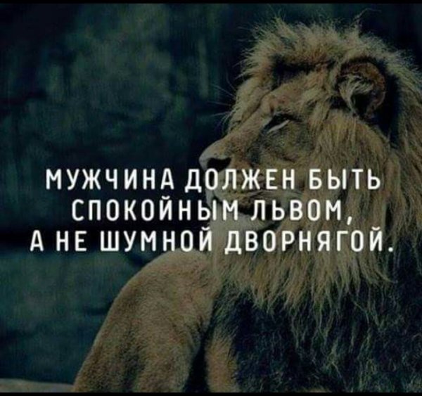 Мужчина должен быть спокойным