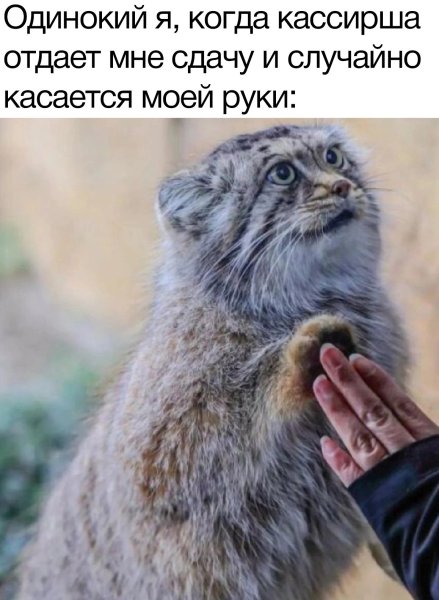 Остановите землю я сойду Мем
