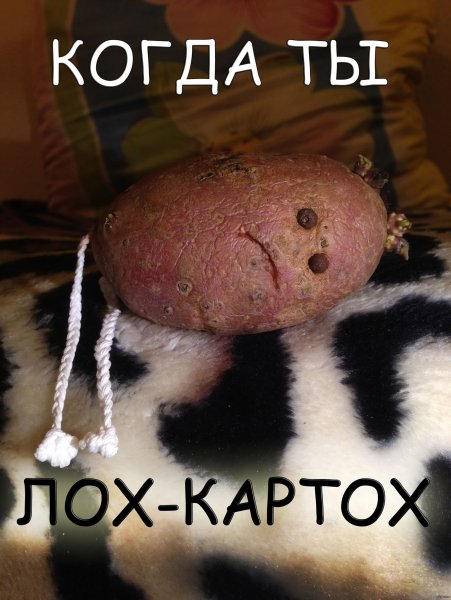 Прикольные картинки лохов