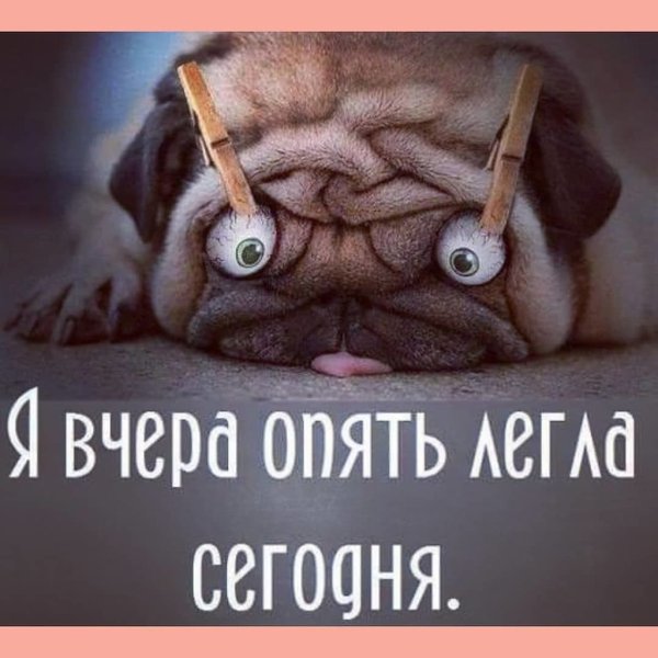 Спать хочется прикол