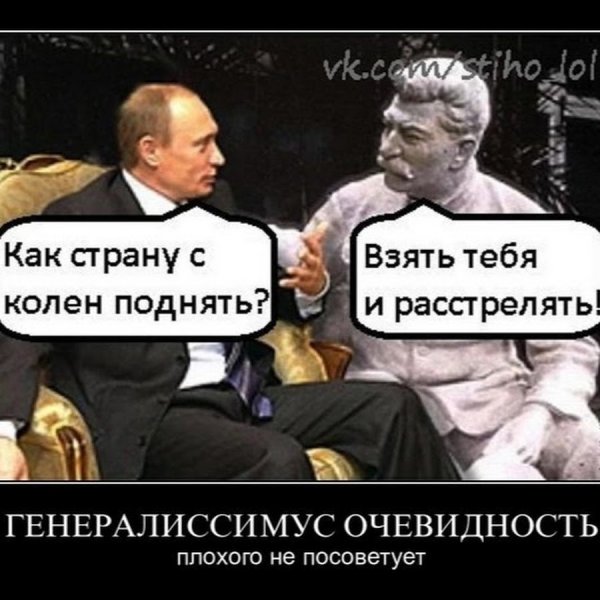 Кот думает о жизни