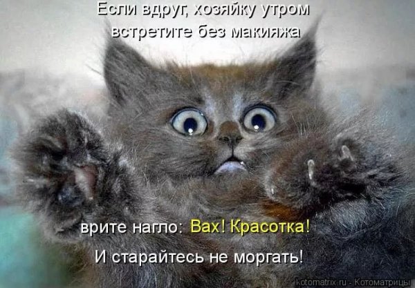Данунах Великий древнеегипетский Бог покоя и умиротворения