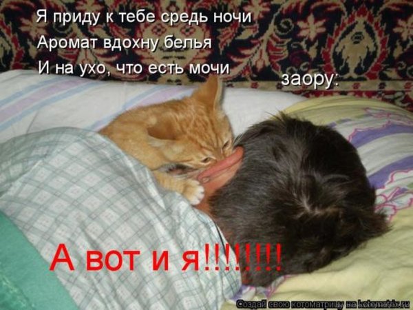 Доброе утро я проснулась