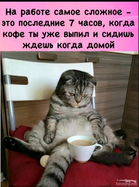 Я обиделась картинки