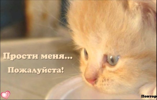 Прости меня картинки с надписями