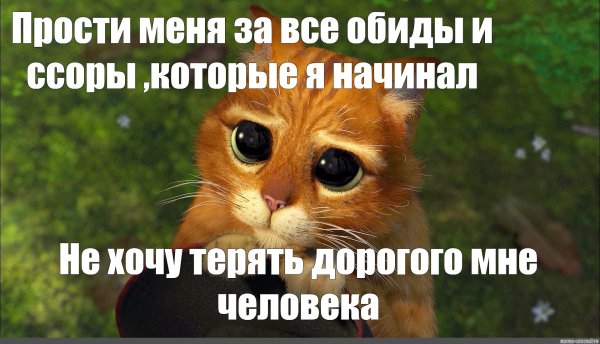 Виноватая кошка