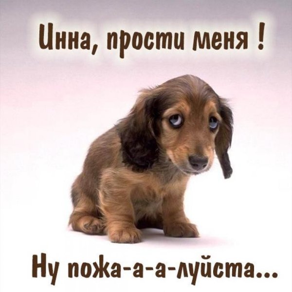Дима прости