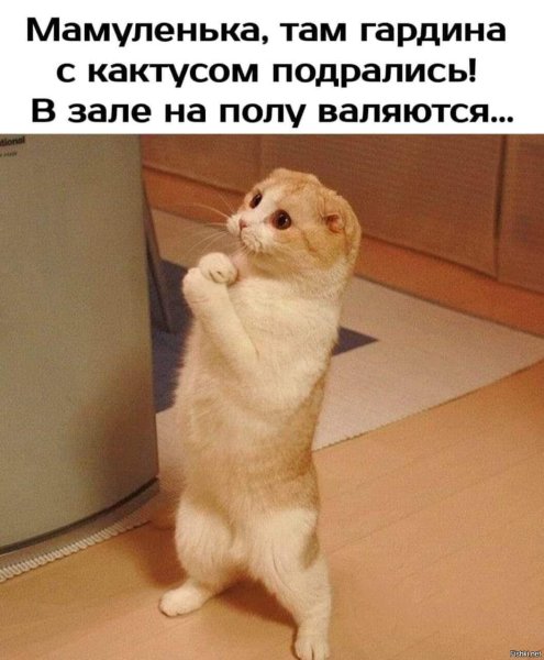 Картинки с извинениями