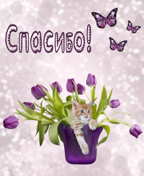 Спасибо картинки