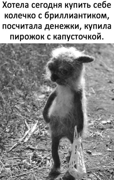 Кот с авоськой прикол