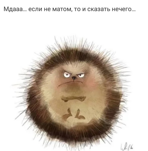 Лена тебе успокоительное в каплях или в таблетках в фужере неси