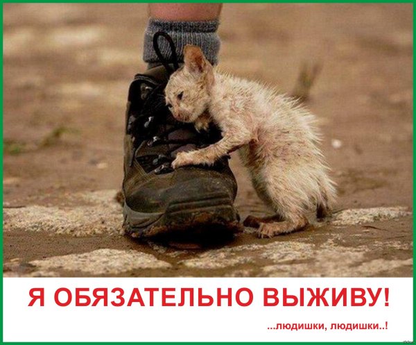 Я обязательно выживу демотиватор