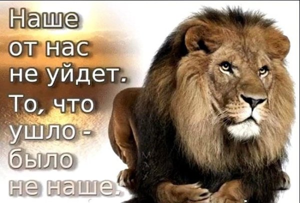 Цитаты про Львов со смыслом