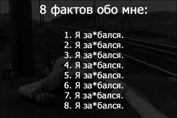 Интересные факты о себе