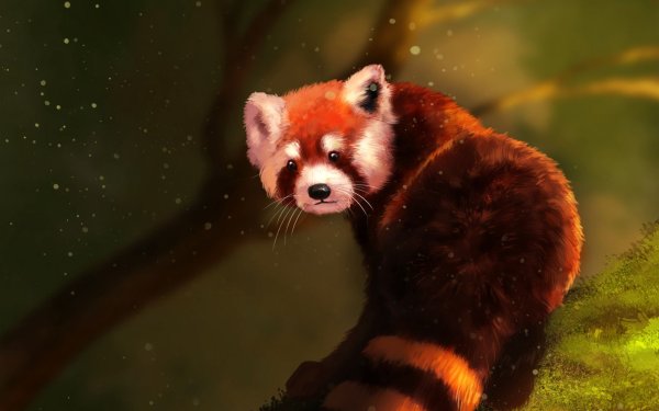 Красная Панда мультфильм персонаж
