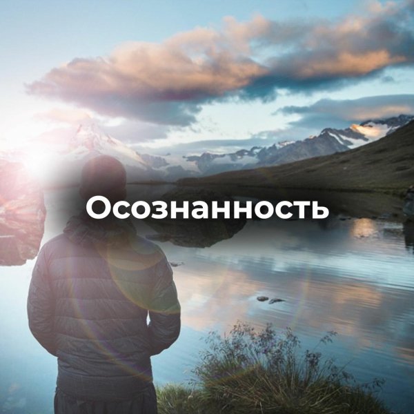 Осознанность жизни
