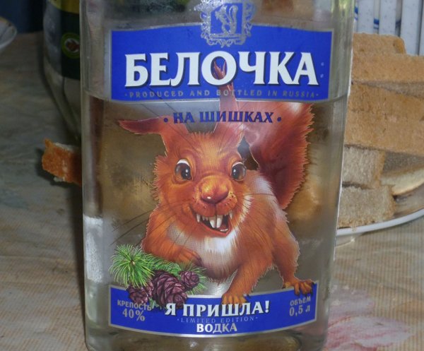 Белочка на шишках водка