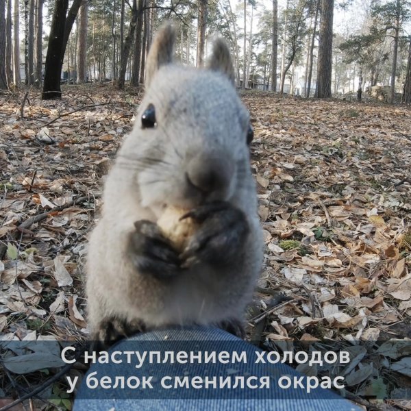 Поздравление с окончанием рабочей недели смешное