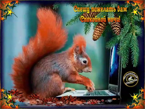 Белочка рисунок