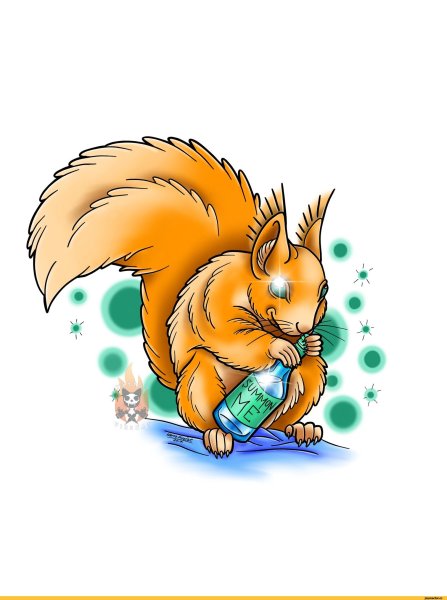 Классные белки