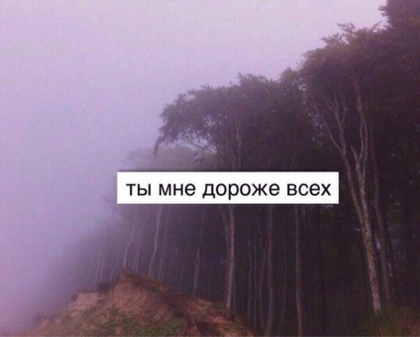Я тебя люблю сохры