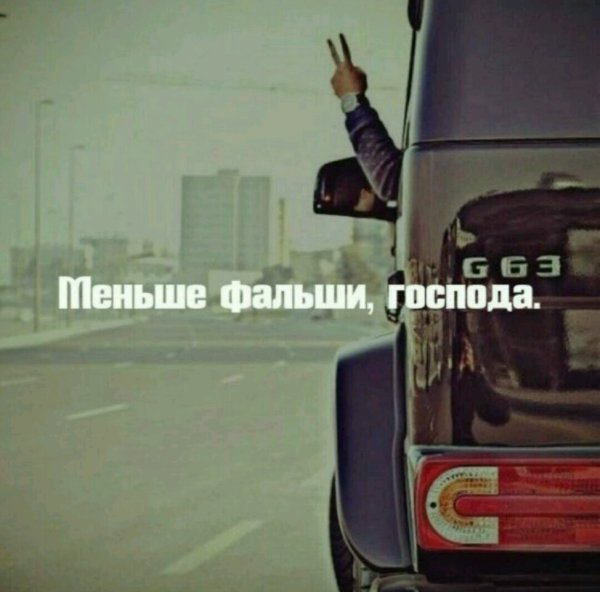 Смешные истории про животных