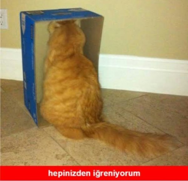 Обида прикол