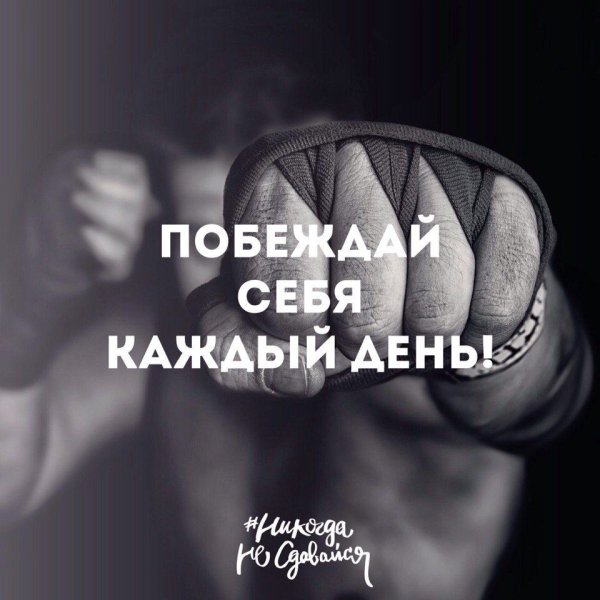 Цитаты про тренировки