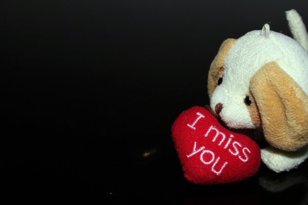 I Miss you