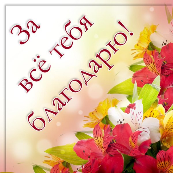 Благодарю тебя