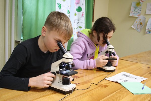 Кружок Юный исследователь
