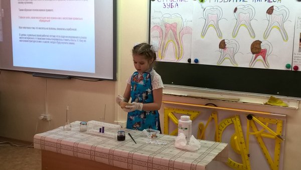 Исследовательские проекты в младшей школе