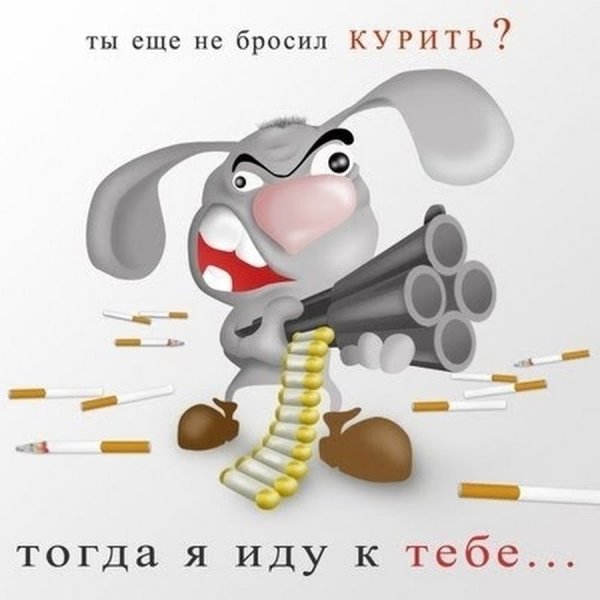 Не бросайте животных на дачах