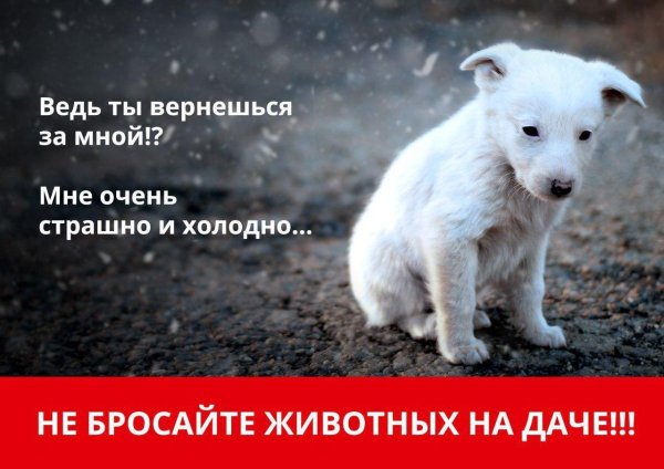 Не сорить табличка