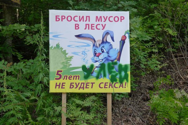 Собака верный и преданный друг