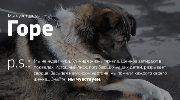 Бросайте мусор в урну