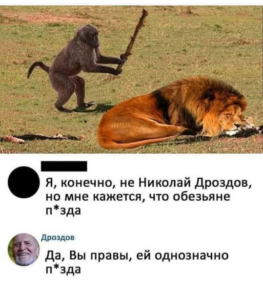 Шутки про Льва