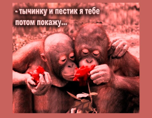 Закодируйте меня от лени и Приворожите к труду