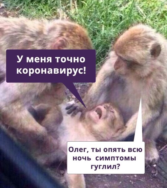 Мемы про коронавирус