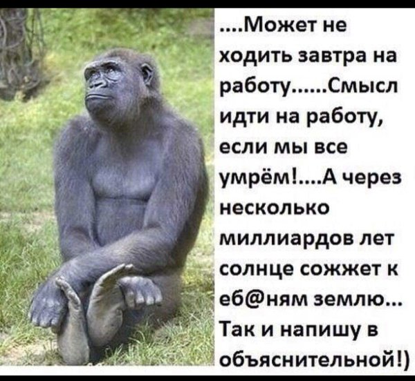 Грациозная обезьяна