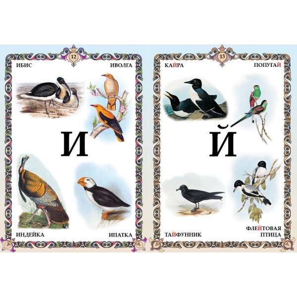 Картинки с надписью птицы по алфавиту от а до я (46 фото)